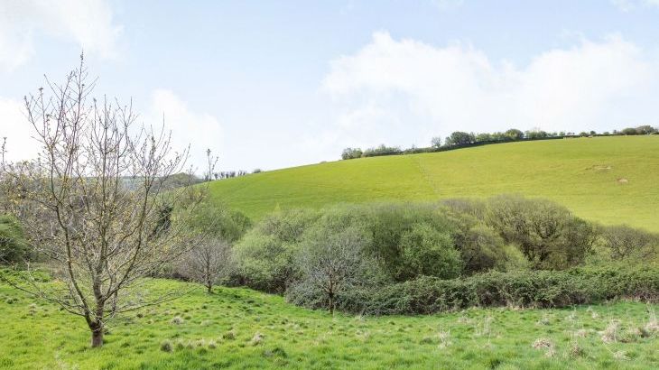 Beechcroft Cottage - Photo 14