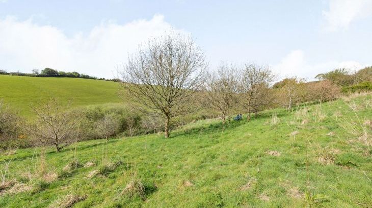 Beechcroft Cottage - Photo 15