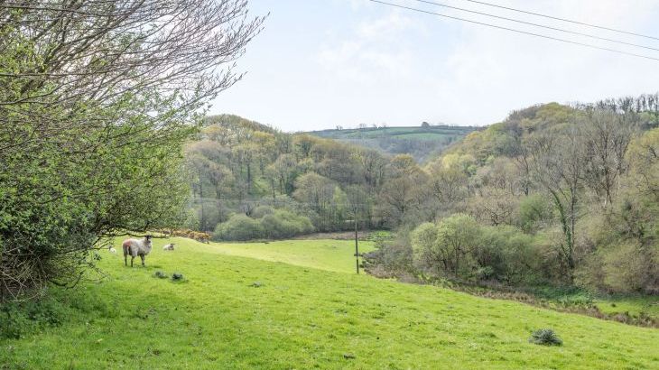 Beechcroft Cottage - Photo 18