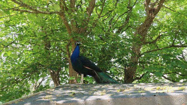 Beggars Roost - Photo 2