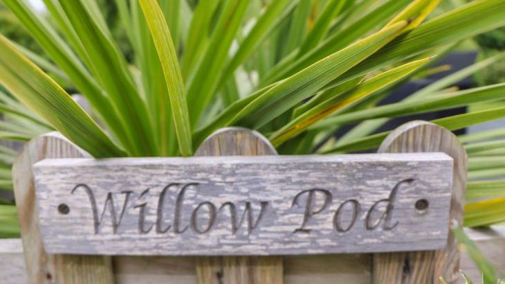 Willow Pod - Photo 4