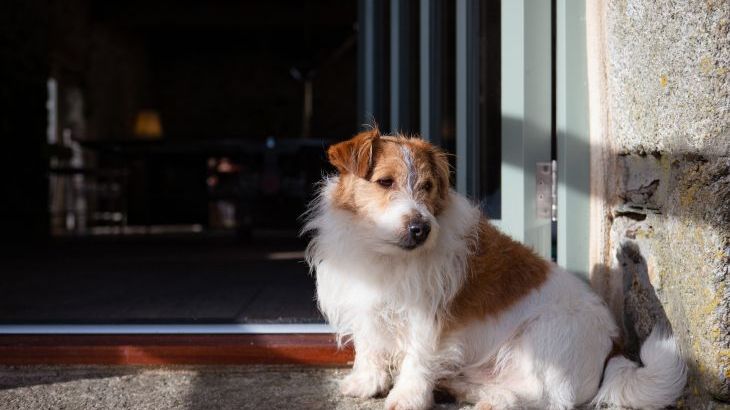 Treveddoe Farmhouse - Photo 56