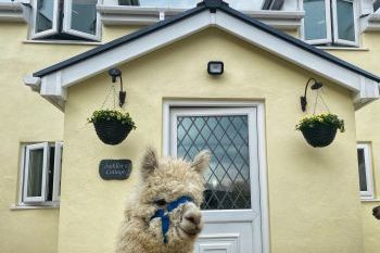 Saddlers Cottage, Berllandeg Farm, 