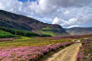 self catering near Scotland's national parks