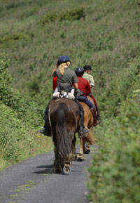 Cottages and self-catering holidays with horse riding nearby