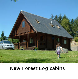 new forest long cabin short breaks